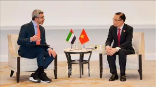 Bộ trưởng Ngoại giao Lê Hoài Trung gặp Bộ trưởng Ngoại giao UAE, Ai Cập và Thổ Nhĩ Kỳ