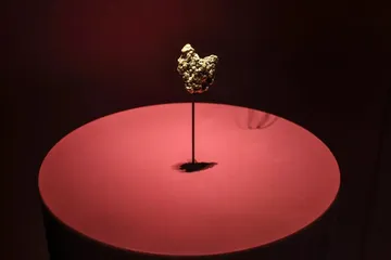 Một mẫu vật vàng được trưng bày tại Bảo tàng Lịch sử Tự nhiên Paris.