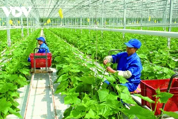 Ảnh minh hoạ: Doanh nhân Sài Gòn