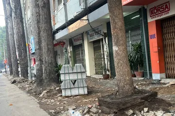 Thi công vỉa hè xâm phạm cây xanh trên đường Hùng Vương (phường Chợ Lớn, TPHCM)