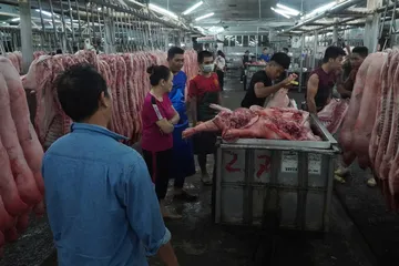 Đức Trung - Ngọc Oai