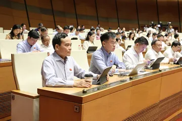 Các đại biểu Quốc hội dự phiên họp sáng 6-8. Ảnh: QUANG PHÚC
