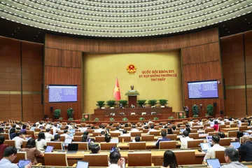 Phiên thảo luận sáng 12-8. Ảnh: VIẾT CHUNG