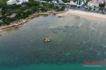 Tình trạng giẫm đạp lên rạn san hô gần bờ vịnh Nha Trang