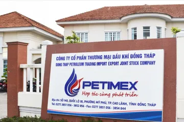 Thanh tra Chính phủ kiến nghị xử lý vi phạm tại Petimex