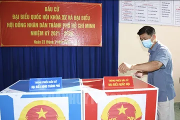 TPHCM thống nhất dùng giấy màu in thẻ cử tri