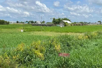 Loạt vi phạm đất đai có thể bị xử lý hình sự