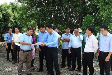Cơ quan chức năng khảo sát dự án
