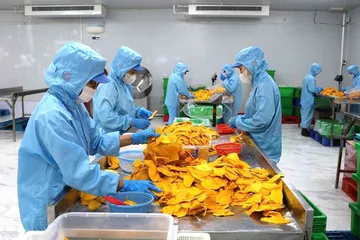 Công nhân sản xuất xoài sấy dẻo tại Công ty TNHH TM Chế biến nông sản thực phẩm Tuấn Đạt 
