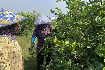 Mùa khô ở Nam bộ, trời sẽ giảm mưa, tăng nắng. Ảnh minh họa: PHÚC HẬU