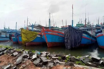 Hướng dẫn hơn 53.000 tàu tránh áp thấp nhiệt đới