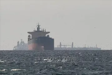 Tàu chở dầu neo tại vùng Vịnh, gần eo biển Hormuz, khi xung đột diễn ra giữa lực lượng phối hợp Mỹ-Israel với Iran, ngày 11/3/2026. Ảnh: TTXVN