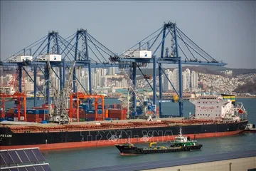 Cảng Busan, Hàn Quốc. Ảnh: THX/TTXVN