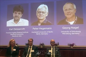 Chân dung các nhà khoa học (từ trái sang) đoạt giải Nobel Y Sinh 2026 Karl Deisseroth (Mỹ), Peter Hegemann và Georg Nagel (Đức) vì những phát hiện liên quan đến công nghệ quang di truyền học. Ảnh: AA/TTXVN phát
