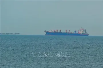 Tàu thuyền chờ đi qua eo biển Hormuz. Ảnh: THX/TTXVN phát