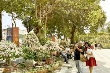 Người dân đến vui chơi, chụp ảnh tại Công viên số 1 Lý Thái Tổ. (ẢNH: THANH HIỀN)