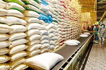 Tạo nền tảng dài hạn cho gạo xuất khẩu 