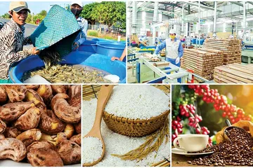 Với giá trị xuất siêu khoảng 21 tỷ USD, ngành nông nghiệp đã tiếp tục khẳng định vai trò trụ đỡ của nền kinh tế .