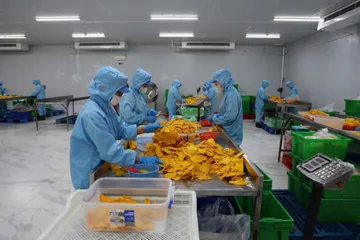 Nhiều công nhân đang làm việc tại các Khu chế xuất, khu công nghiệp, Khu công nghệ cao TPHCM có nhu cầu về chỗ ở. Ảnh HOÀNG HÙNG