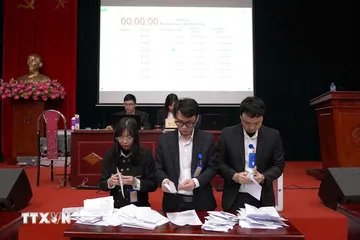 Công ty Đấu giá hợp danh số 5-Quốc gia kiểm tra kết quả. (Ảnh: Minh Nghĩa/TTXVN)