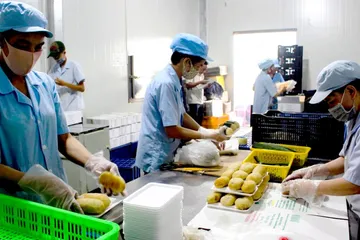 Củng cố nền tảng nội sinh để gia tăng sức chống chịu nền kinh tế