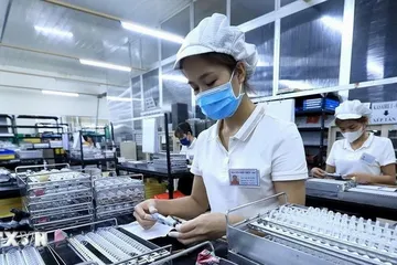 Kinh tế Việt Nam duy trì khả năng chống chịu nhờ chính sách điều hành linh hoạt
