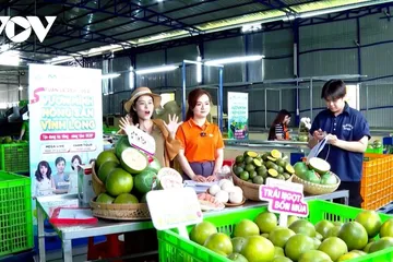 Nghịch lý 84% hộ kinh doanh vẫn 'sợ' lớn