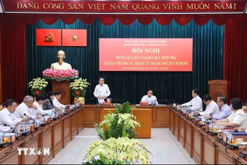 Chủ tịch Quốc hội Trần Thanh Mẫn, Trưởng Đoàn kiểm tra, giám sát số 11 phát biểu. (Ảnh: Văn Điệp/TTXVN)