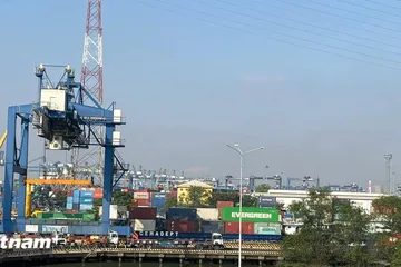EVFTA sau sáu năm đã thúc đẩy kim ngạch thương mại Việt Nam-EU vượt 383,8 tỷ USD, mở rộng cơ hội hợp tác và tăng trưởng kinh tế bền vững. (Ảnh: Vietnam+) 