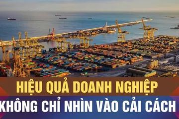 Địa phương có thứ hạng cao, chưa chắc tạo ra doanh nghiệp mạnh