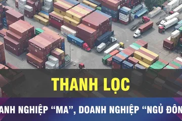 Chiến dịch làm sạch mã số thuế đã thanh lọc doanh nghiệp
