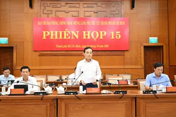 TPHCM thành lập Tổ giám sát công trình, dự án trọng điểm