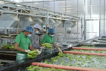 Bài 1: Thể chế mở đường cho nền kinh tế tự chủ 