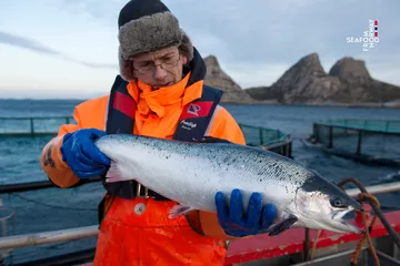 Người tiêu dùng Việt chuộng cá hồi Na Uy