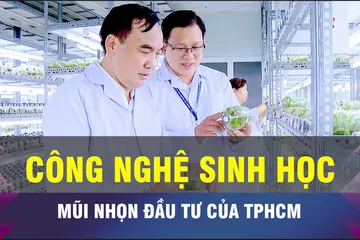 18 GIỜ NGÀY 25-6: TPHCM đầu tư vào 'mũi nhọn' công nghệ sinh học