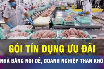 18 GIỜ NGÀY 11-7: Vì sao doanh nghiệp khó tiếp cận gói tín dụng ưu đãi?