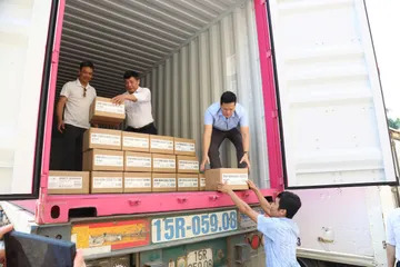Hàng Việt có nhiều dư địa xuất khẩu sang châu Âu (hình minh hoạ)