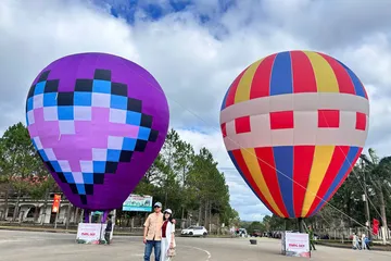 Quảng Ngãi: Du khách ùn ùn đổ về Măng Đen ngày đầu năm mới