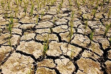 El Nino kéo dài, nhiều vùng sản xuất đối mặt nguy cơ hạn hán nặng