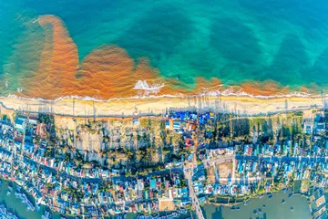 Hiện tượng 'thủy triều đỏ' ở ven biển Tam Quan