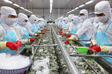 Tạo đường băng cho doanh nghiệp nhỏ và vừa 'cất cánh'