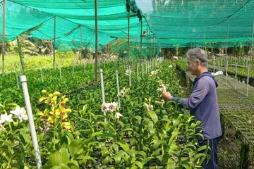 TPHCM: Sát cánh cùng nông dân làm giàu