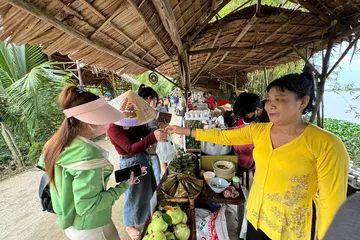 Vực dậy vùng trồng đặc sản vú sữa Lò Rèn Vĩnh Kim 