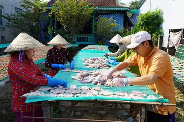 Làng cá khô miền Tây tất bật vào mùa Tết
