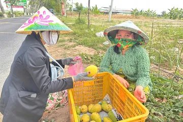 Đồng Tháp đưa 'chợ số' đến với nông dân