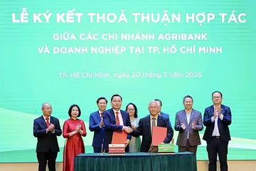 Dòng vốn tín dụng xanh đi vào thị trường ngách