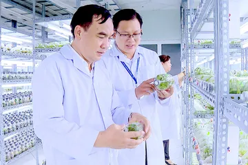 TPHCM đầu tư vào 'mũi nhọn' công nghệ sinh học