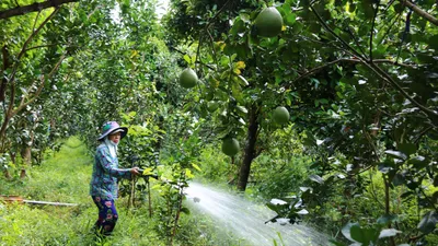 Đồng Tháp, Tây Ninh: Đảm bảo nước ngọt, chủ động ứng phó hiện tượng El Nino