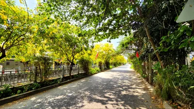 Người gõ trống