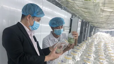 Đánh thức “quốc bảo” trên đỉnh Ngọc Linh